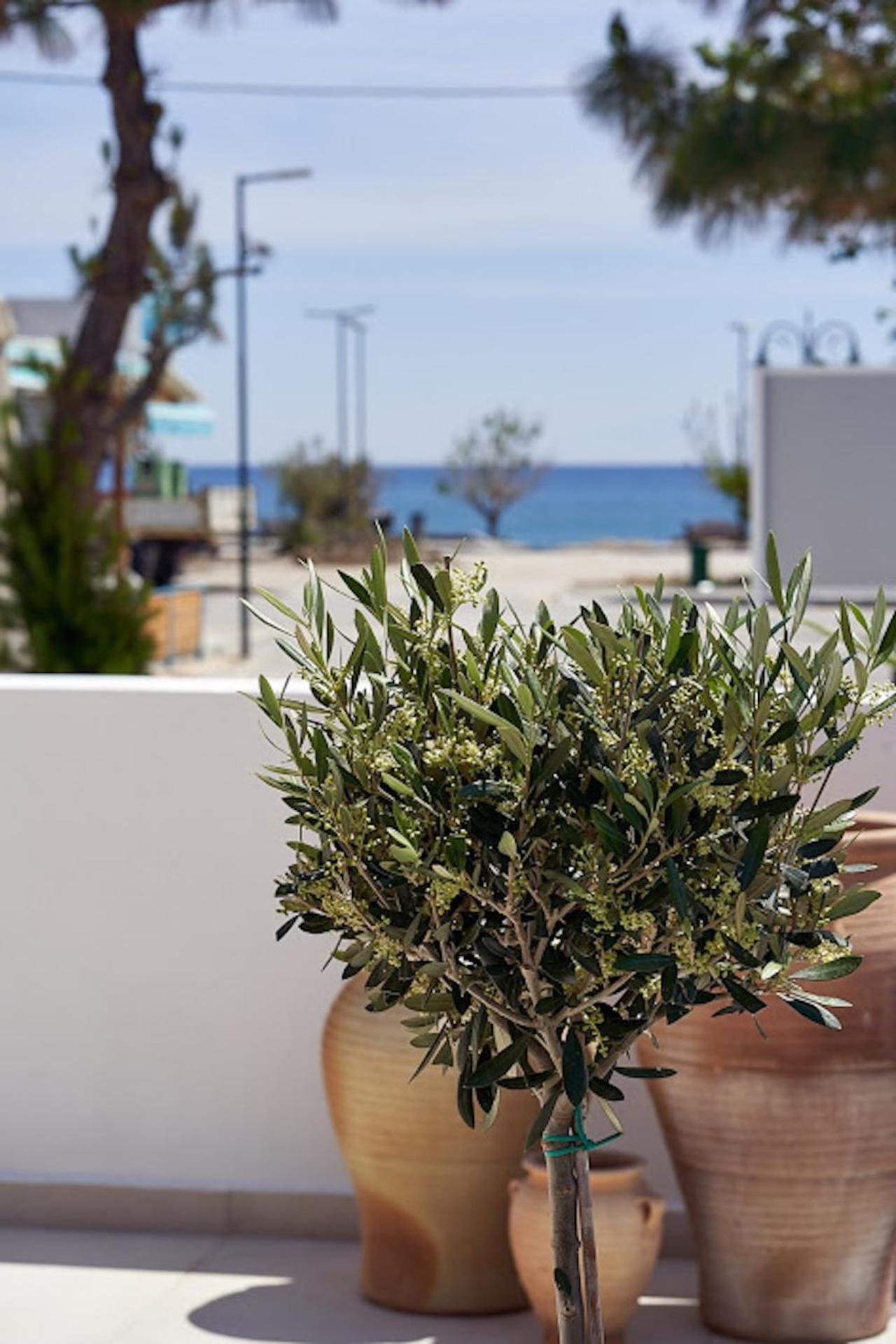 Sia Mare Seaside Apartments Faliraki Quarto foto